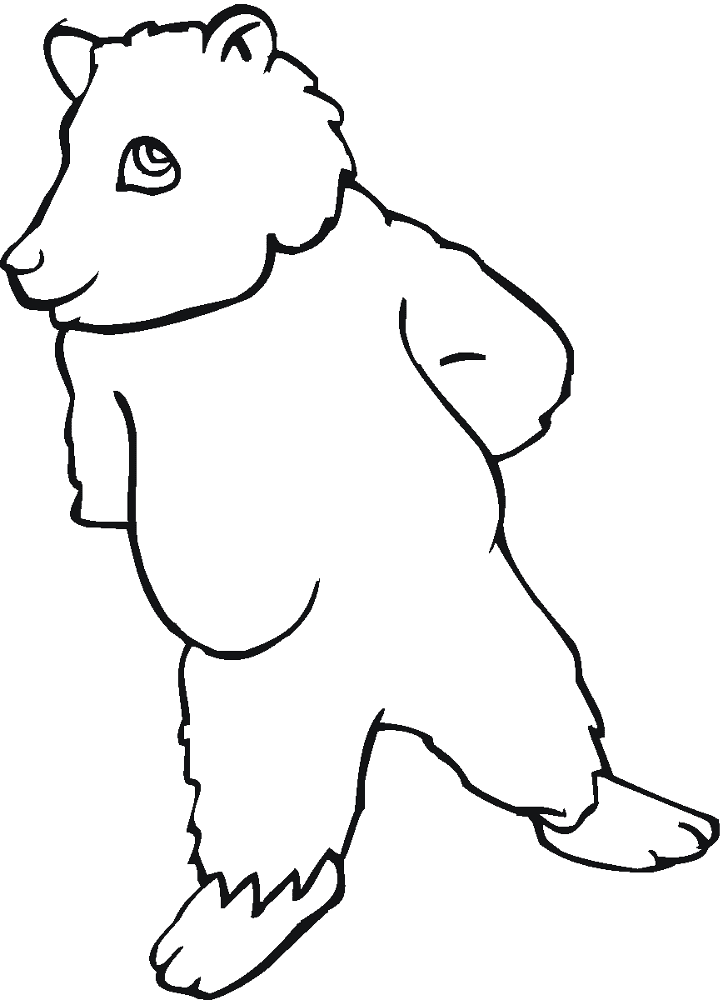 Desenho de Ursos Pardos para colorir e imprimir: número 27