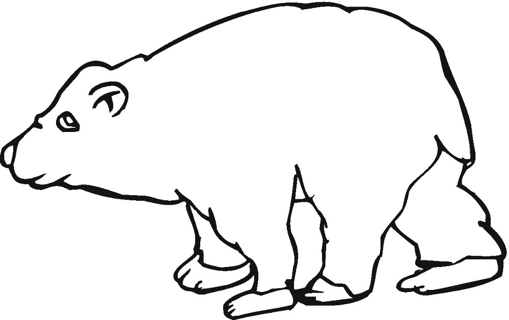 Desenho de Ursos Pardos para colorir e imprimir: número 28