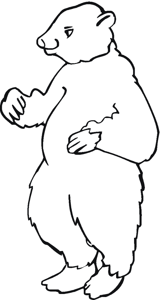 Desenho de Ursos Pardos para colorir e imprimir: número 29