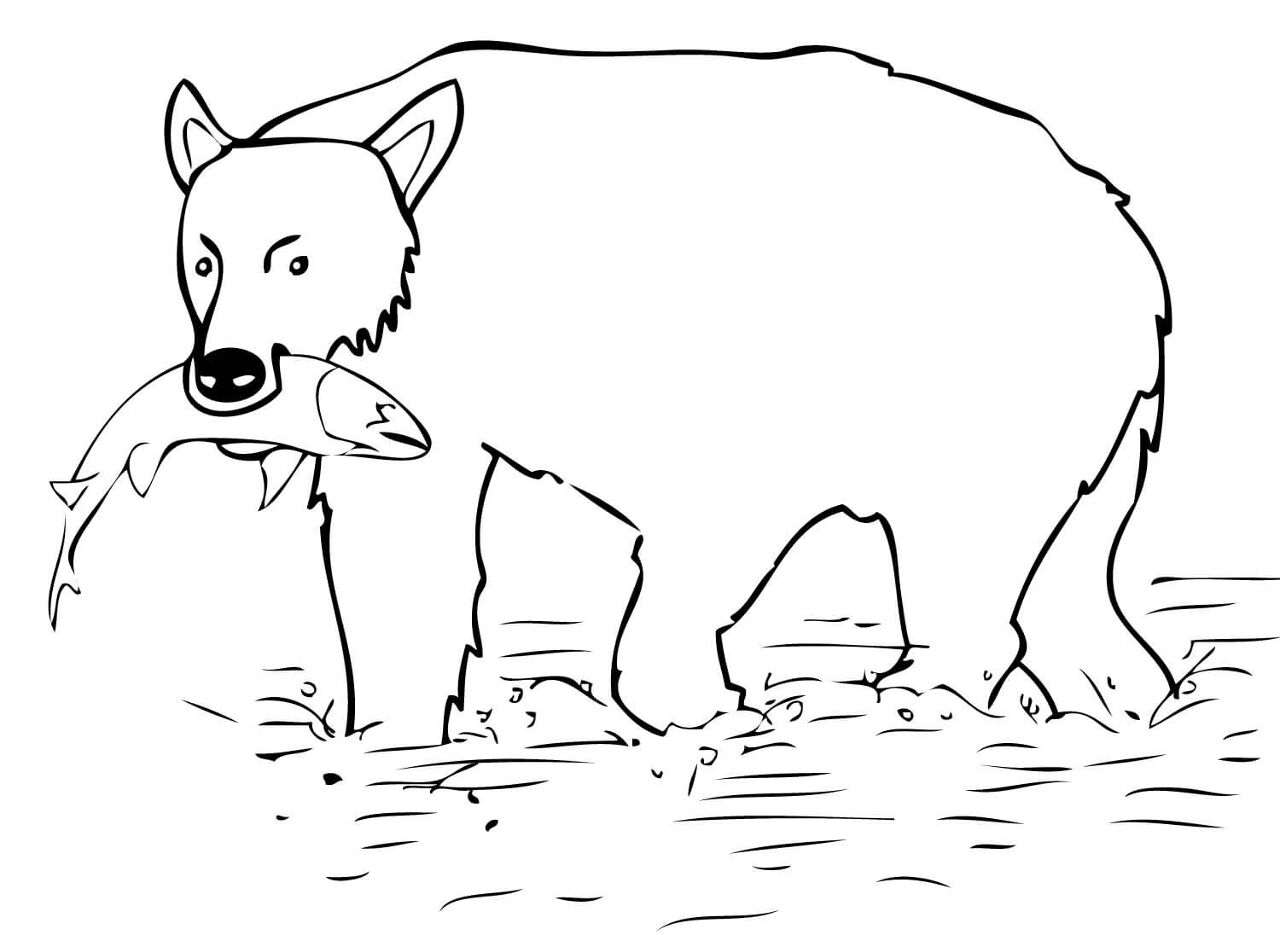 Desenho de Ursos Pardos para colorir e imprimir: número 31