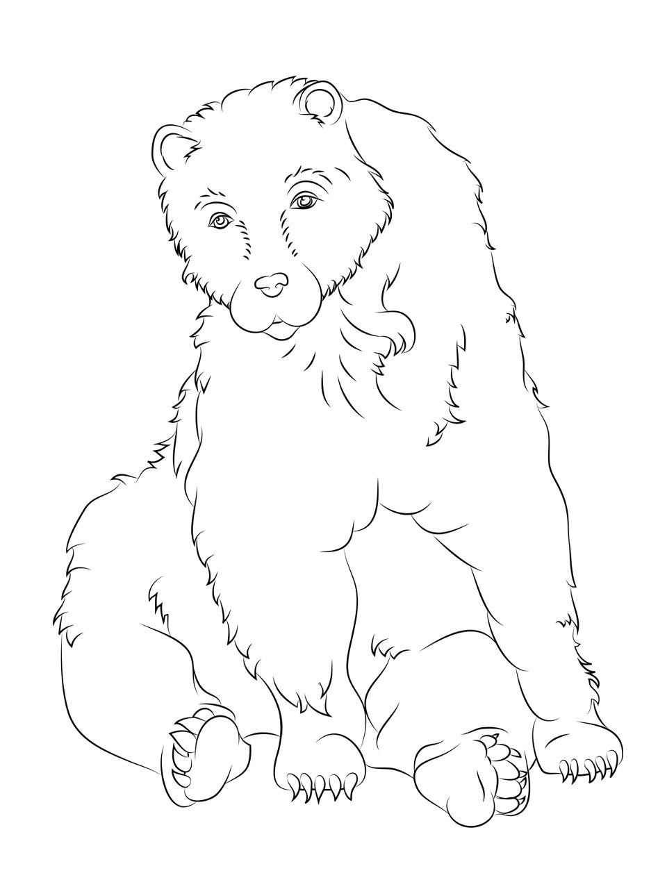 Desenho de Ursos Pardos para colorir e imprimir: número 34