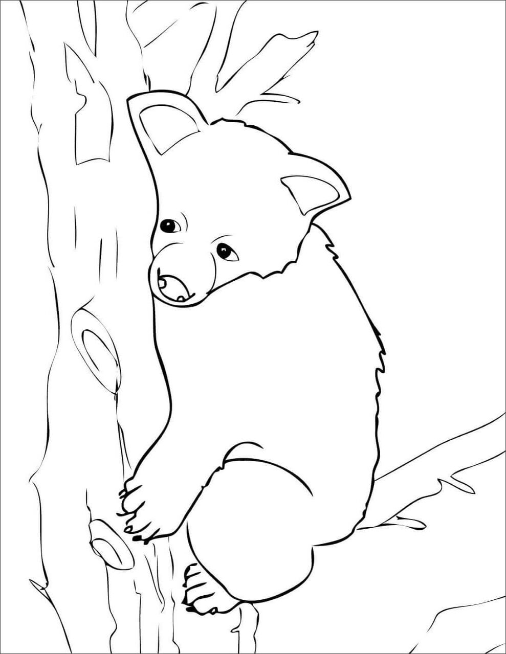 Desenho de Ursos Pardos para colorir e imprimir: número 35