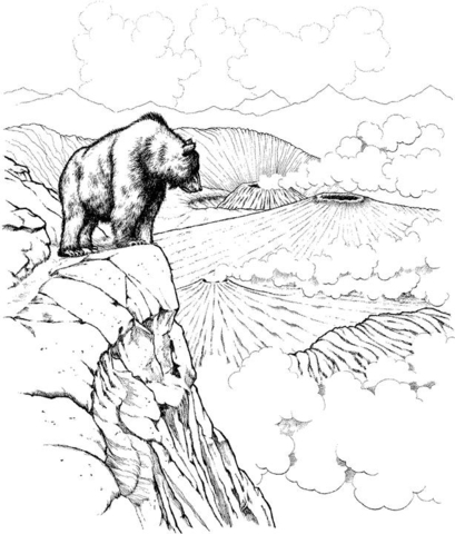 Desenho de Ursos Pardos para colorir e imprimir: número 38