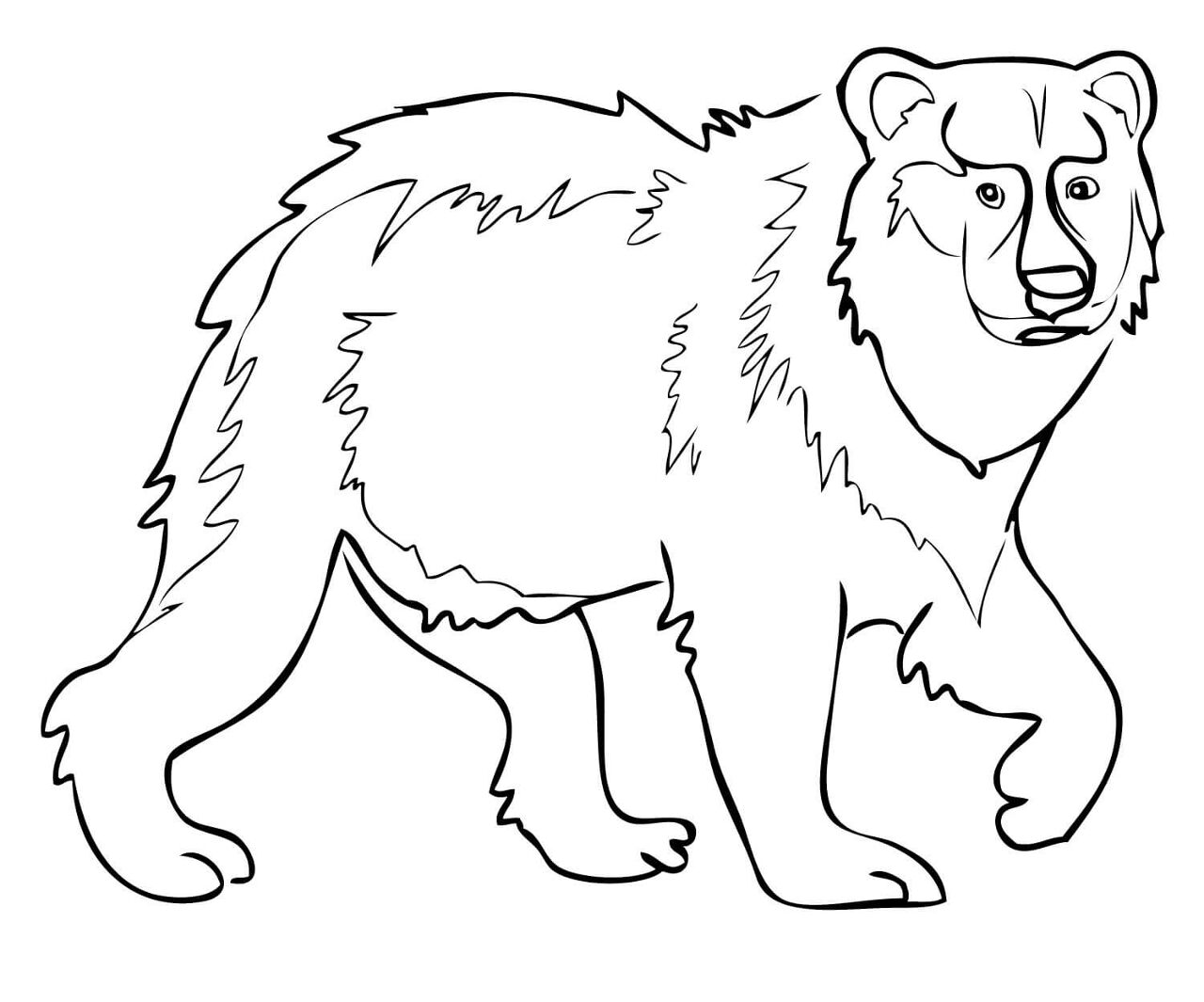 Desenho de Ursos Pardos para colorir e imprimir: número 45