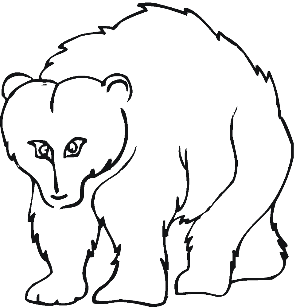 Desenho de Ursos Pardos para colorir e imprimir: número 46