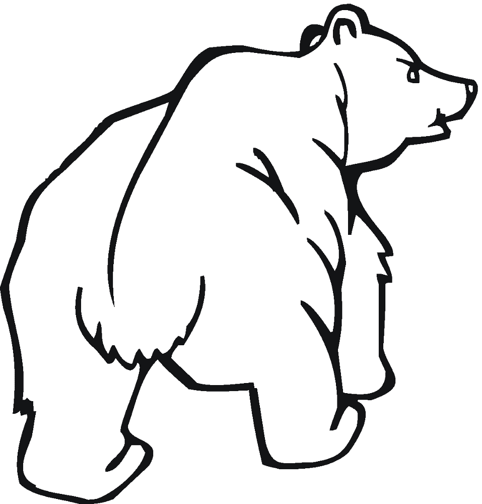 Desenho de Ursos Pardos para colorir e imprimir: número 48