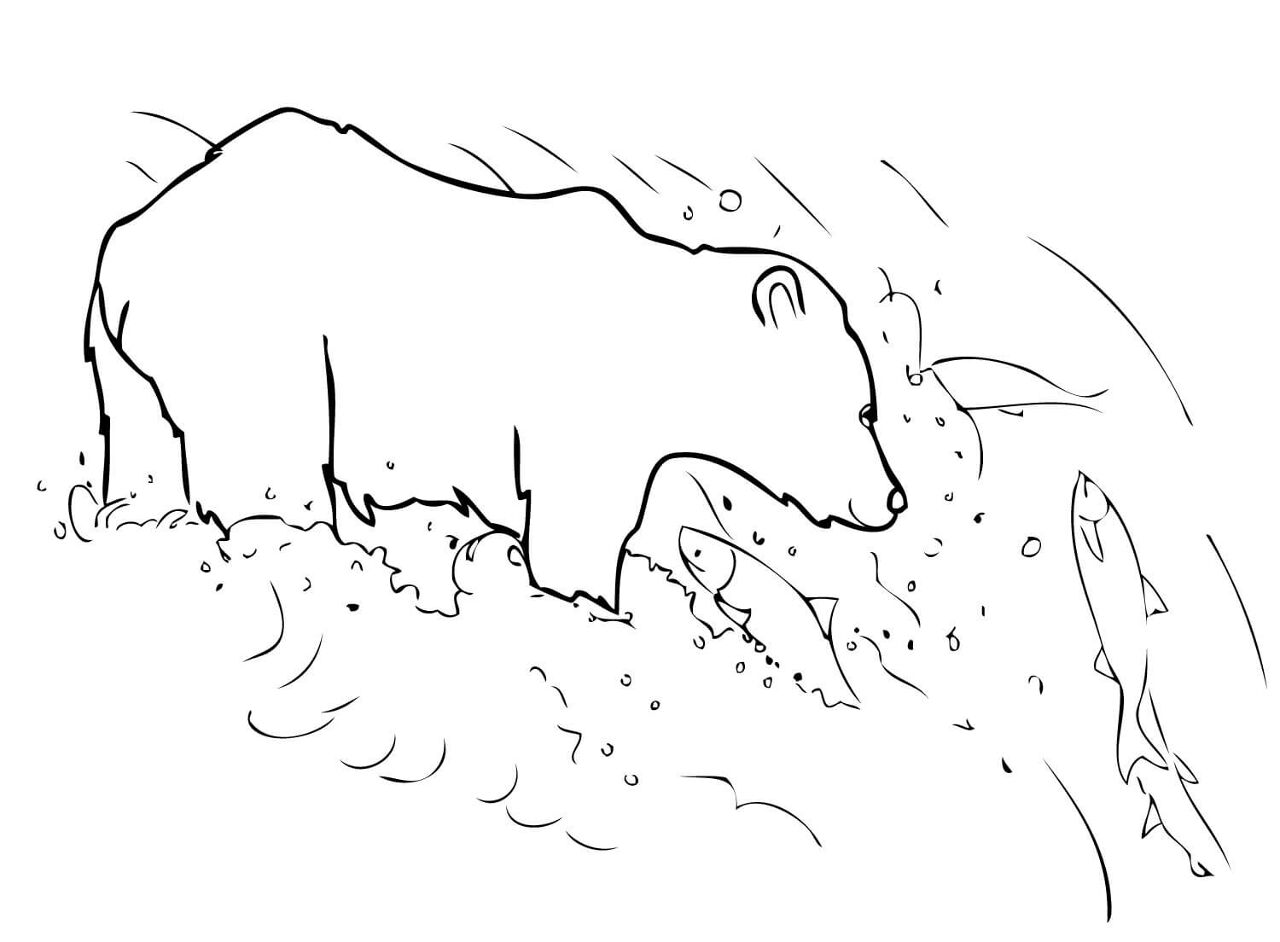 Desenho de Ursos Pardos para colorir