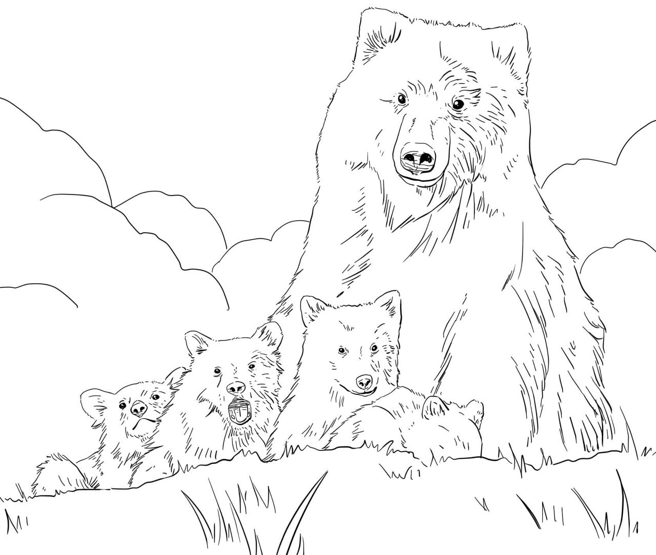 Desenho de Ursos Pardos para colorir