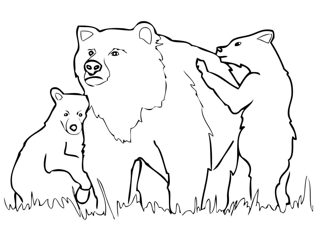 Desenho de Ursos Pardos para colorir