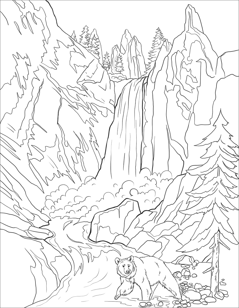 Desenho de Ursos Pardos para colorir