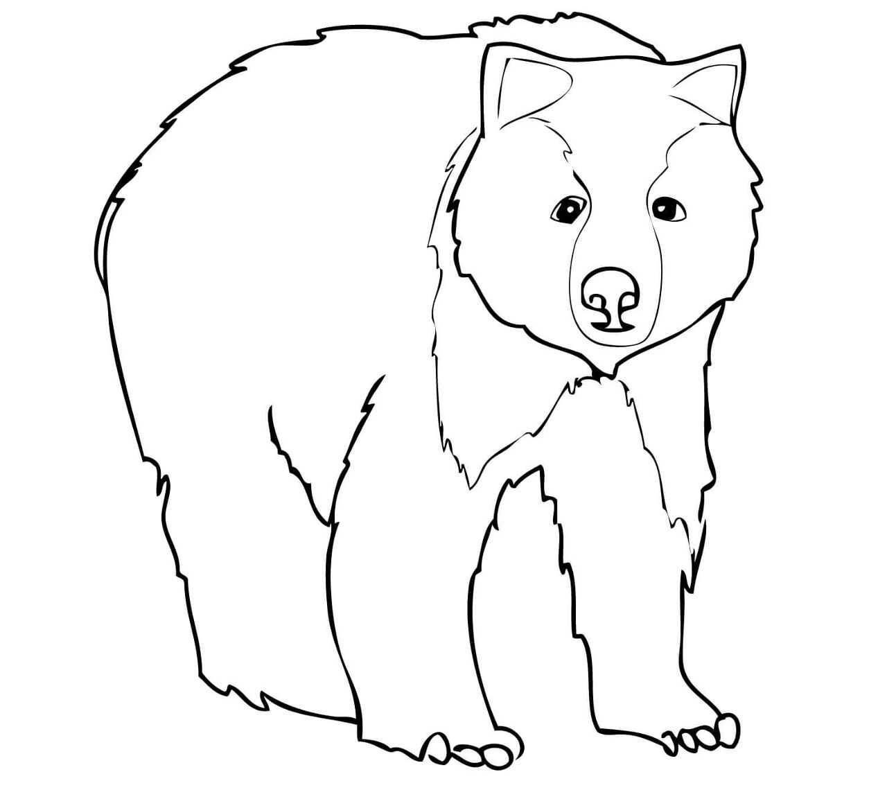 Desenho de Ursos Pardos para colorir