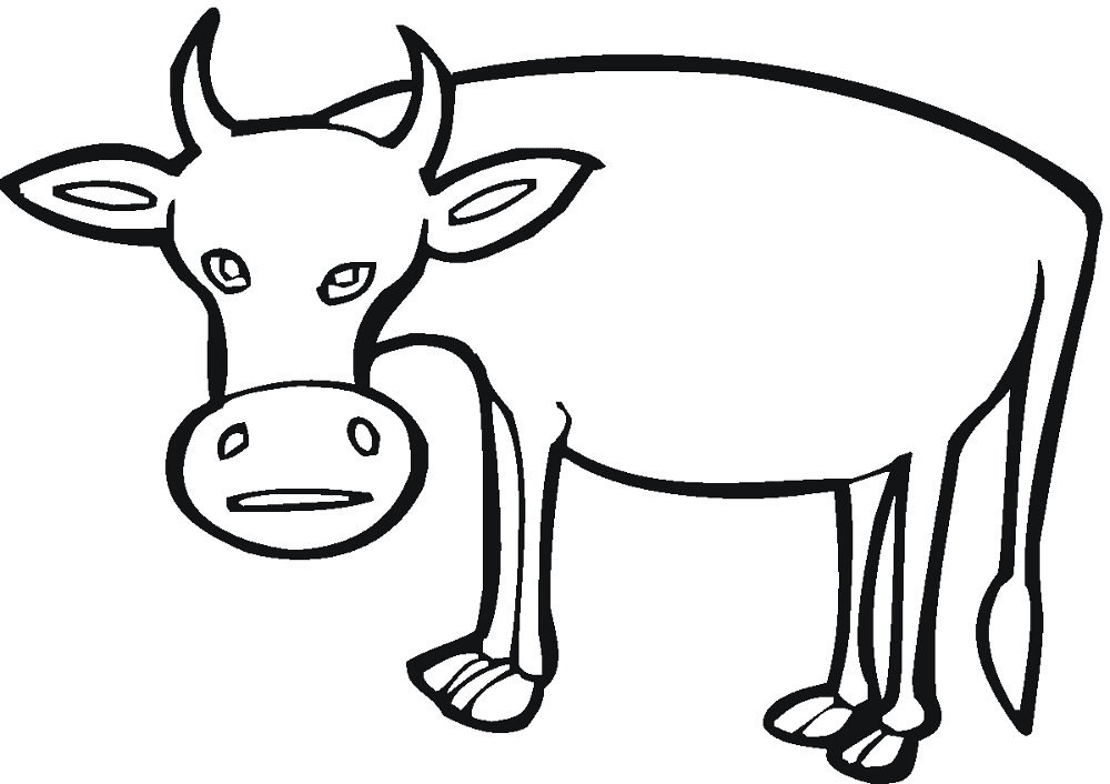 Desenho de Vacas para colorir e imprimir: número 20