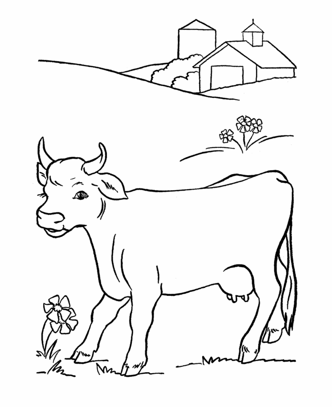Desenho de Vacas para colorir e imprimir: número 34