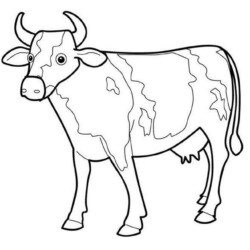 Desenho de Vacas para colorir e imprimir: número 36
