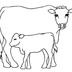 Desenho de Vacas para colorir e imprimir: número 37