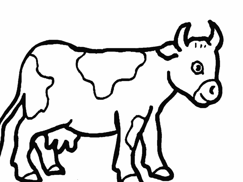 Desenho de Vacas para colorir e imprimir: número 40
