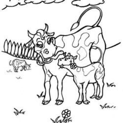 Desenho de Vacas para colorir e imprimir: número 41