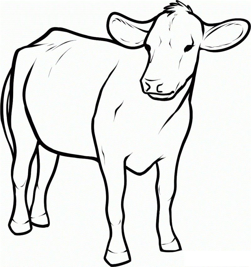 Desenho de Vacas para colorir e imprimir: número 44