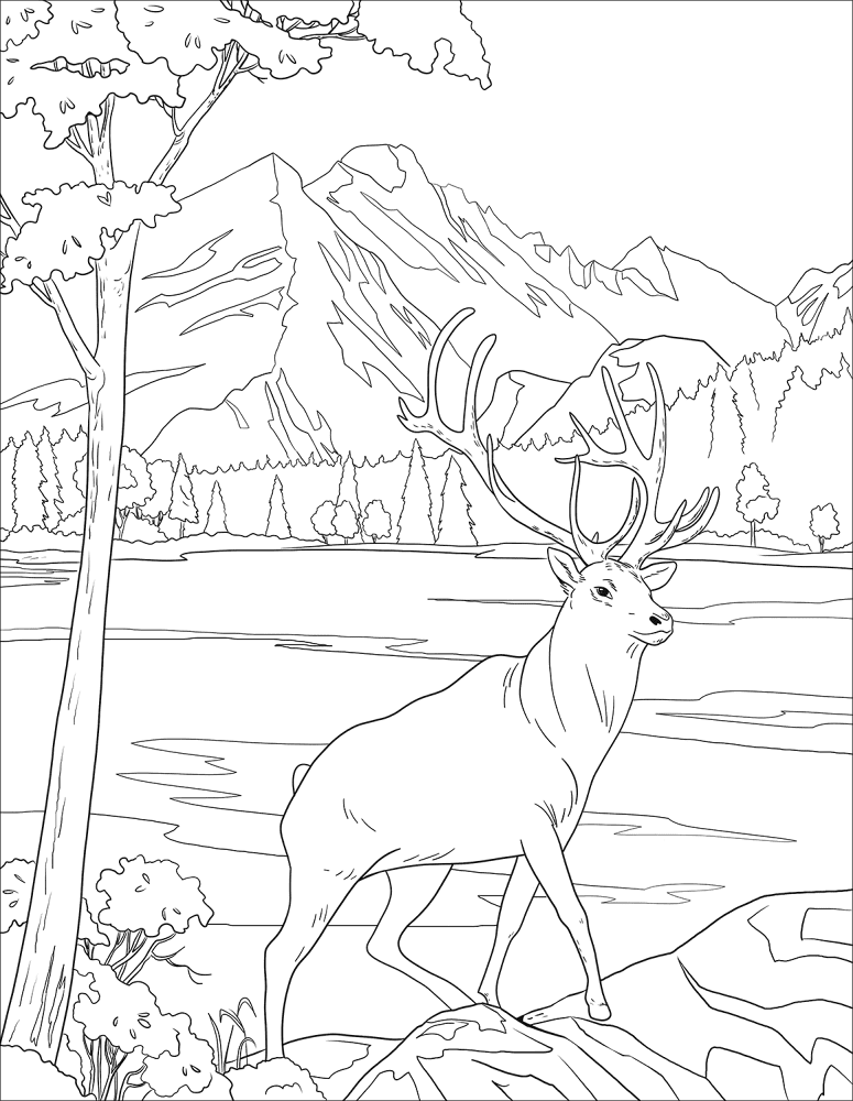 Desenho de Veados para colorir e imprimir: número 6