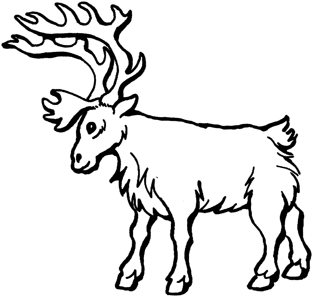 Desenho de Veados para colorir e imprimir: número 15