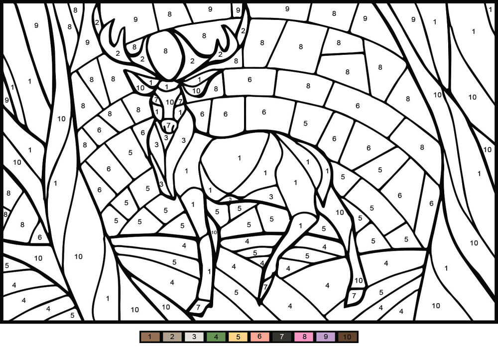 Desenho de Veados para colorir e imprimir: número 16
