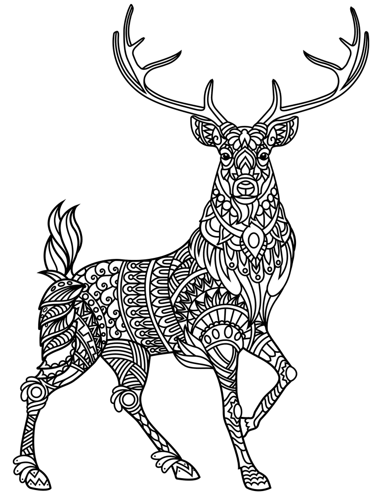 Desenho de Veados para colorir e imprimir: número 22