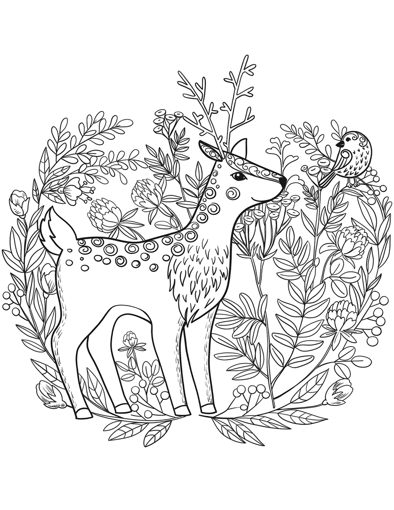 Desenho de Veados para colorir e imprimir: número 26