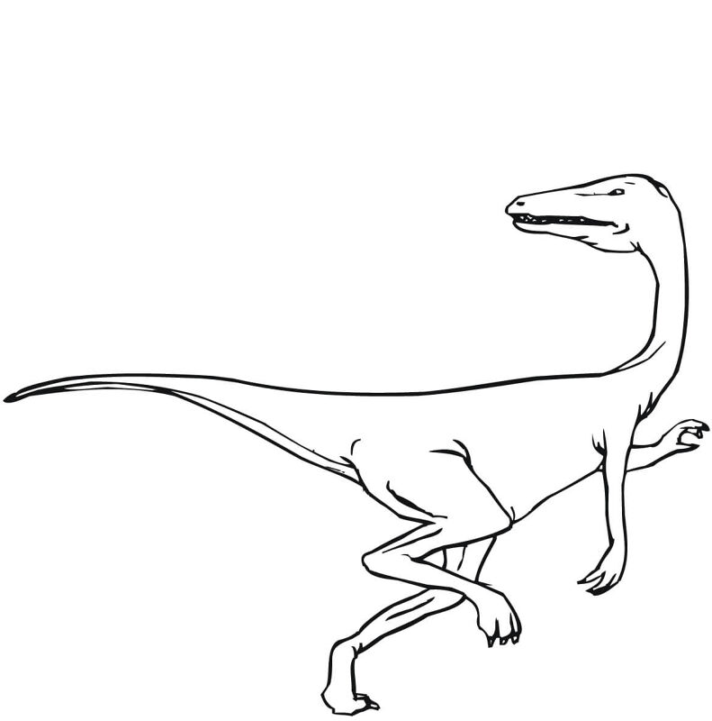 Desenho de Velociraptor para colorir e imprimir: número 11