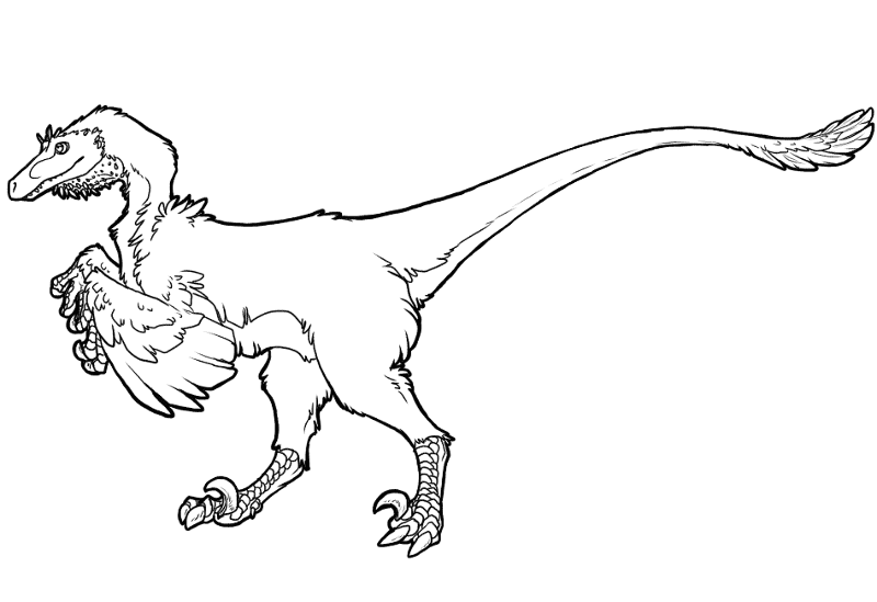 Desenho de Velociraptor para colorir e imprimir: número 12