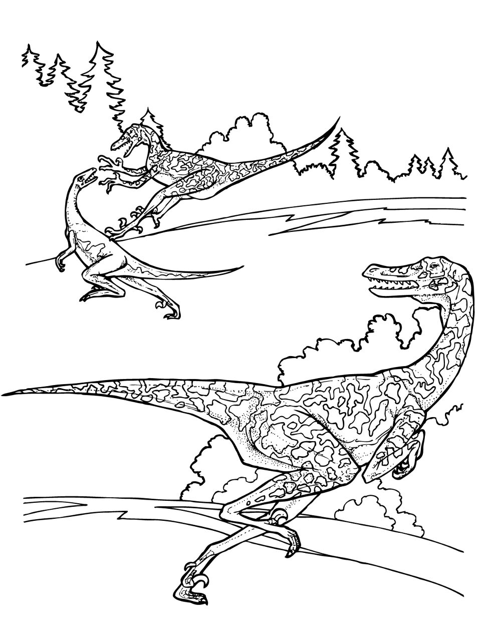 Desenho de Velociraptor para colorir e imprimir: número 17