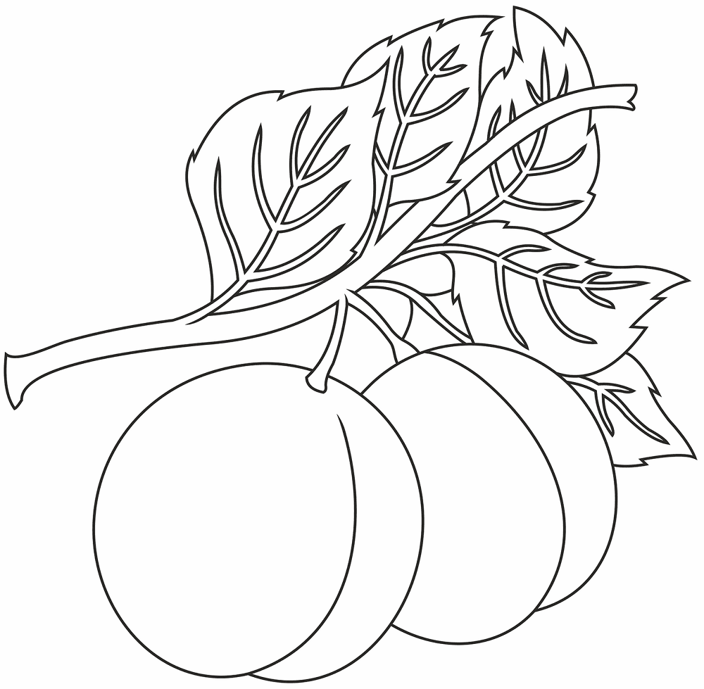 Desenho de Verão para colorir e imprimir: número 1