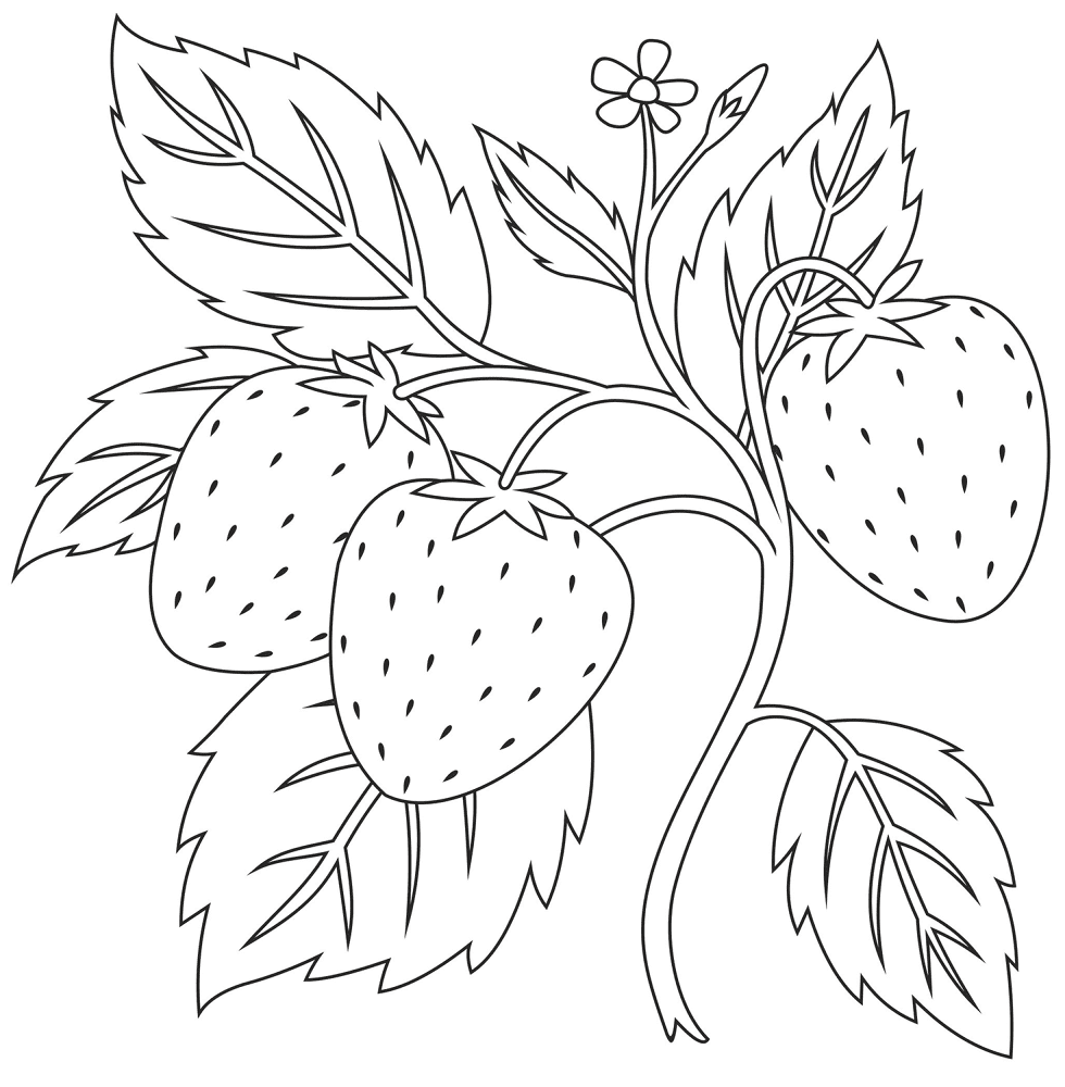Desenho de Verão para colorir e imprimir: número 2
