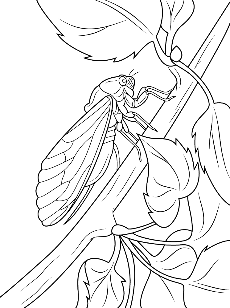 Desenho de Verão para colorir e imprimir: número 20