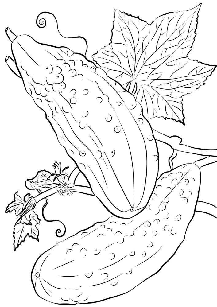 Desenho de Verão para colorir e imprimir: número 22