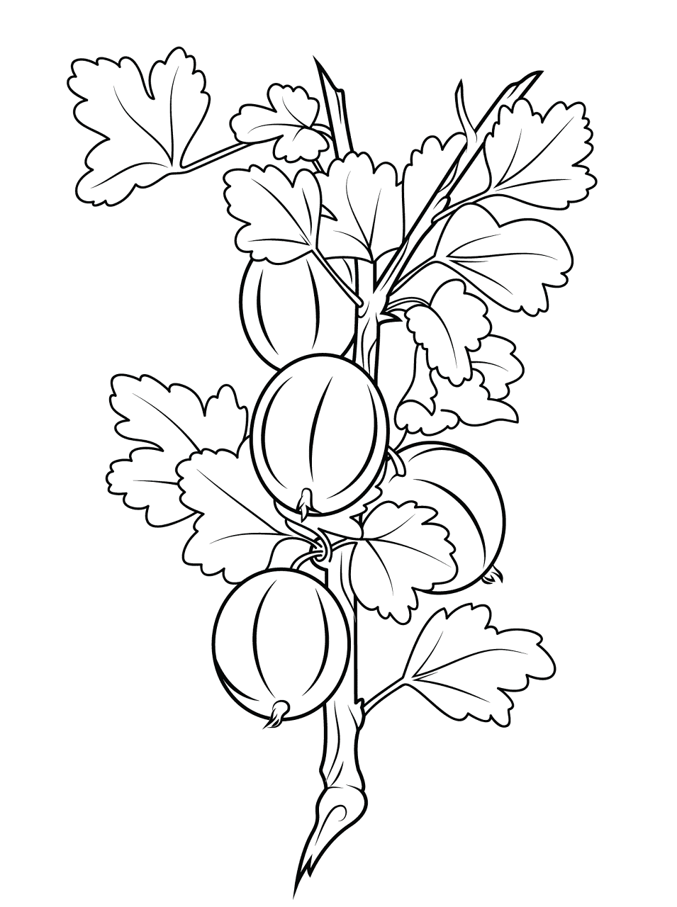 Desenho de Verão para colorir e imprimir: número 31