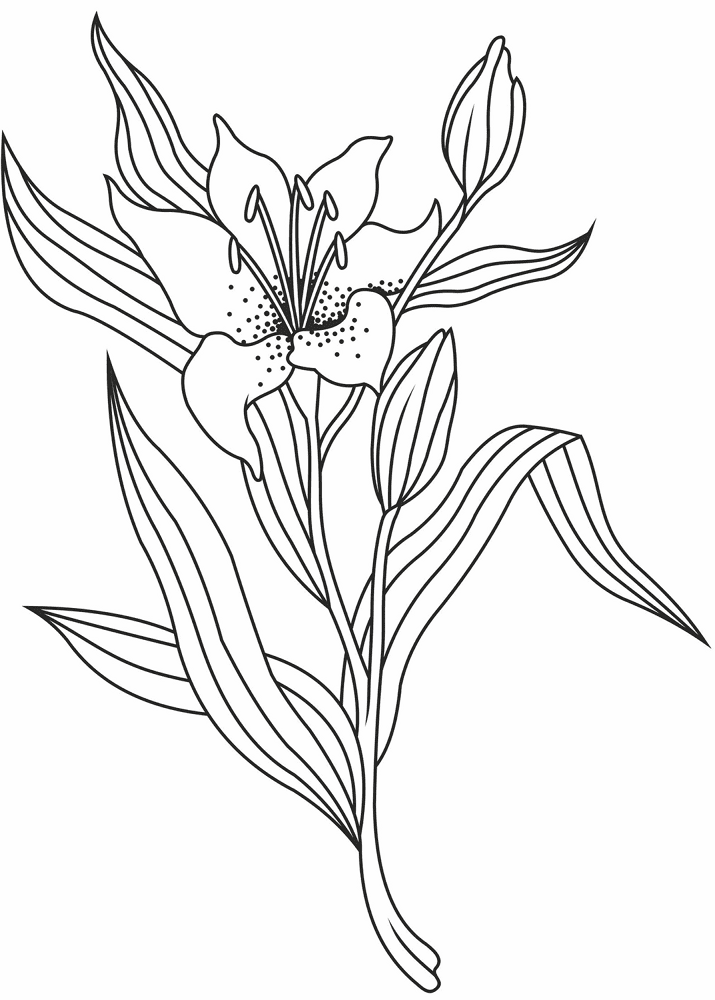 Desenho de Verão para colorir e imprimir: número 37