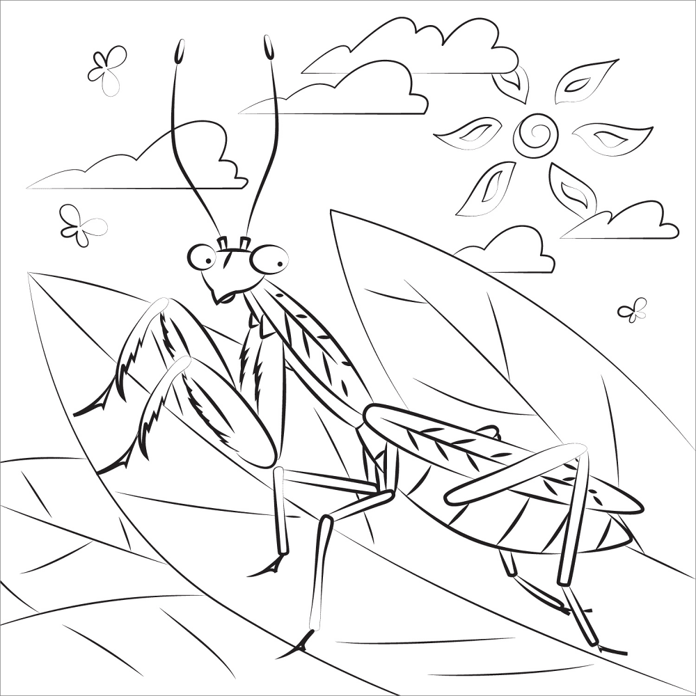 Desenho de Verão para colorir