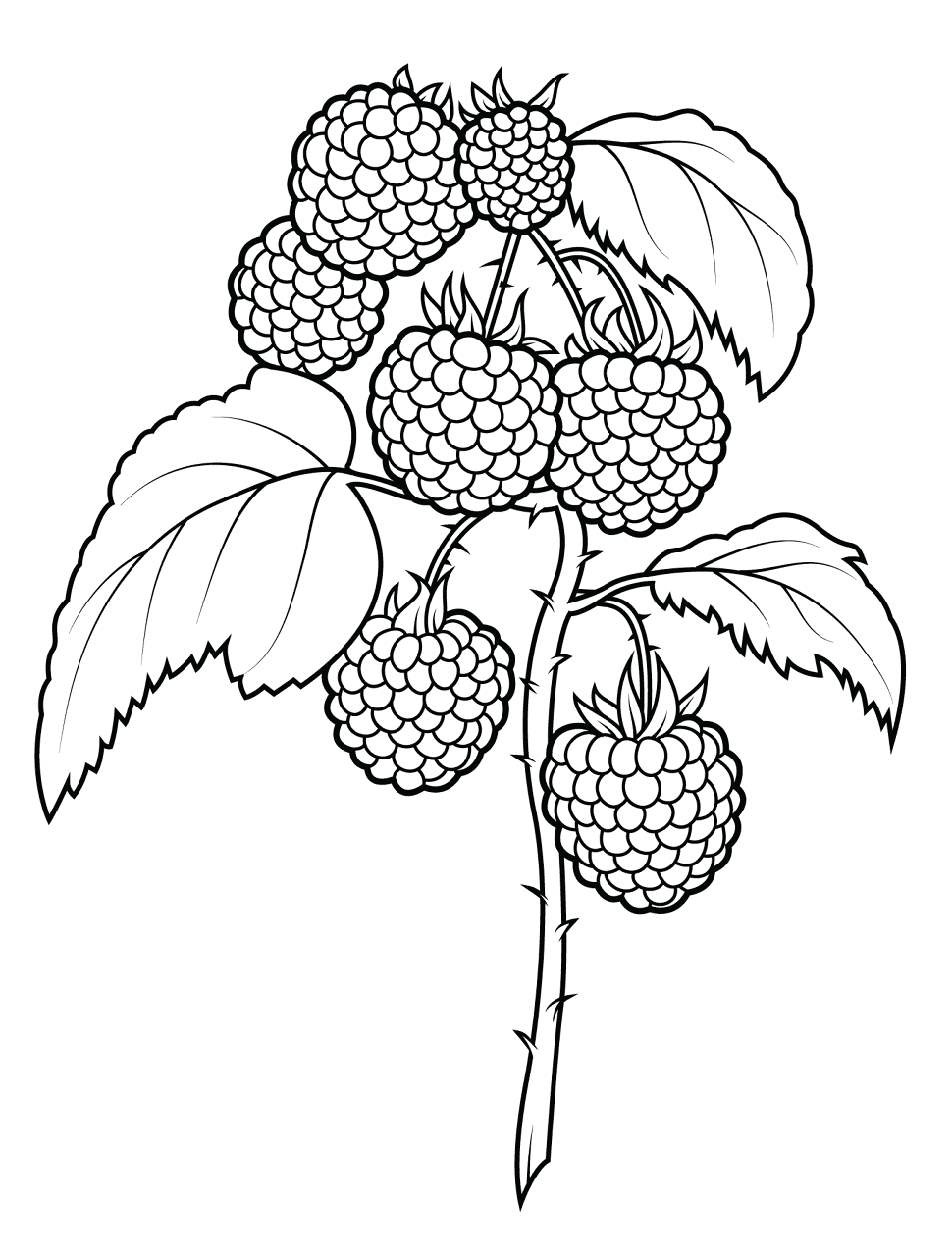 Desenho de Verão para colorir