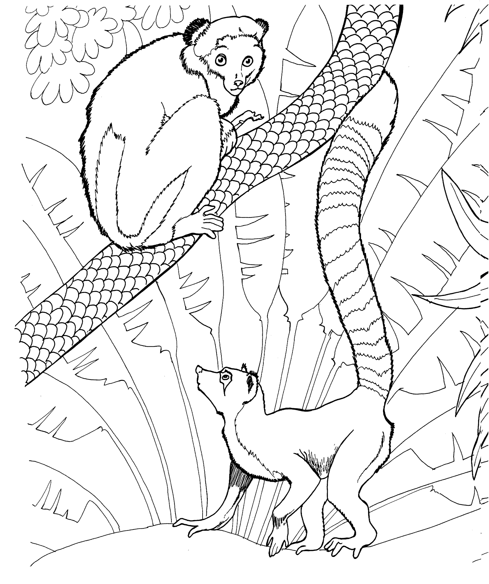 Desenho de Verão para colorir