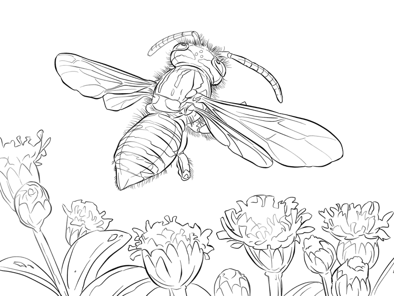 Desenho de Verão para colorir