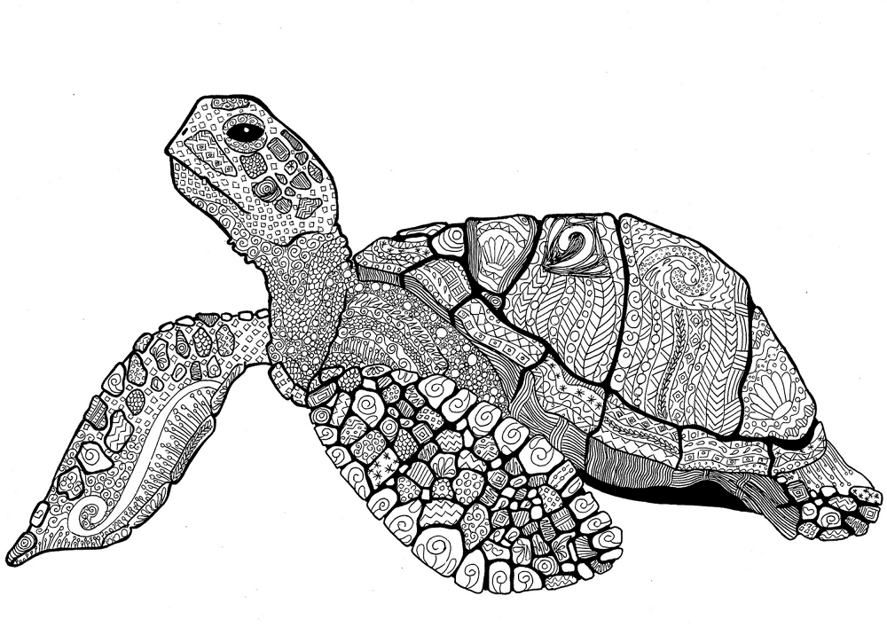Desenho de Verão para colorir