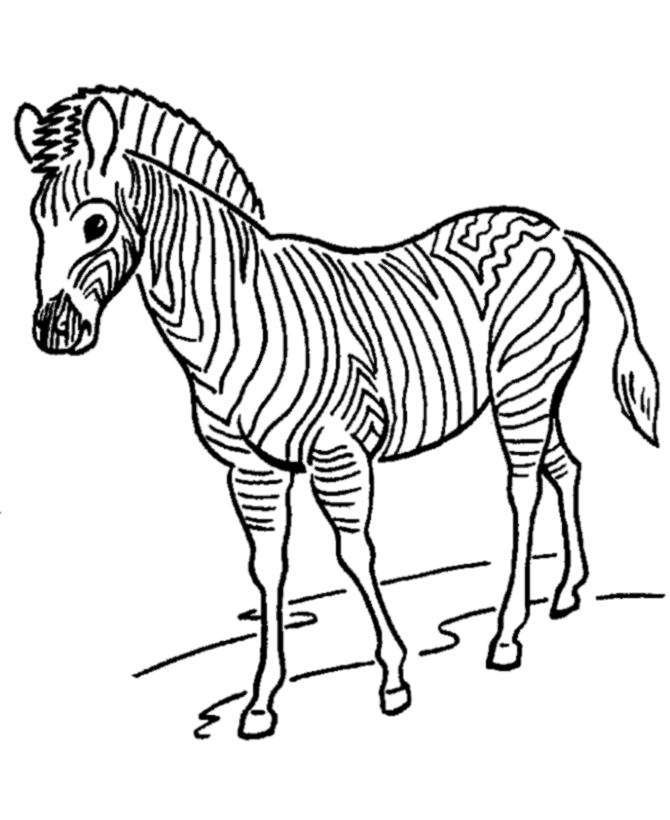 Desenho de Zebras para colorir e imprimir: número 6