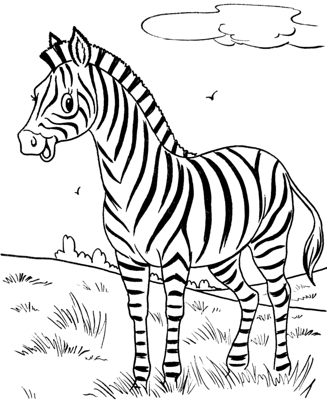 Desenho de Zebras para colorir e imprimir: número 8