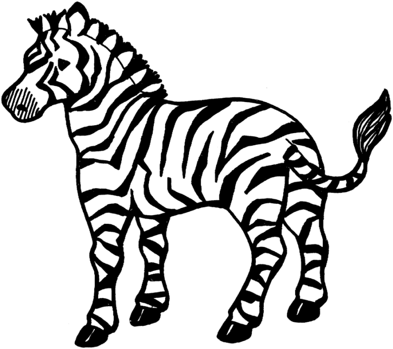 Desenho de Zebras para colorir e imprimir: número 9