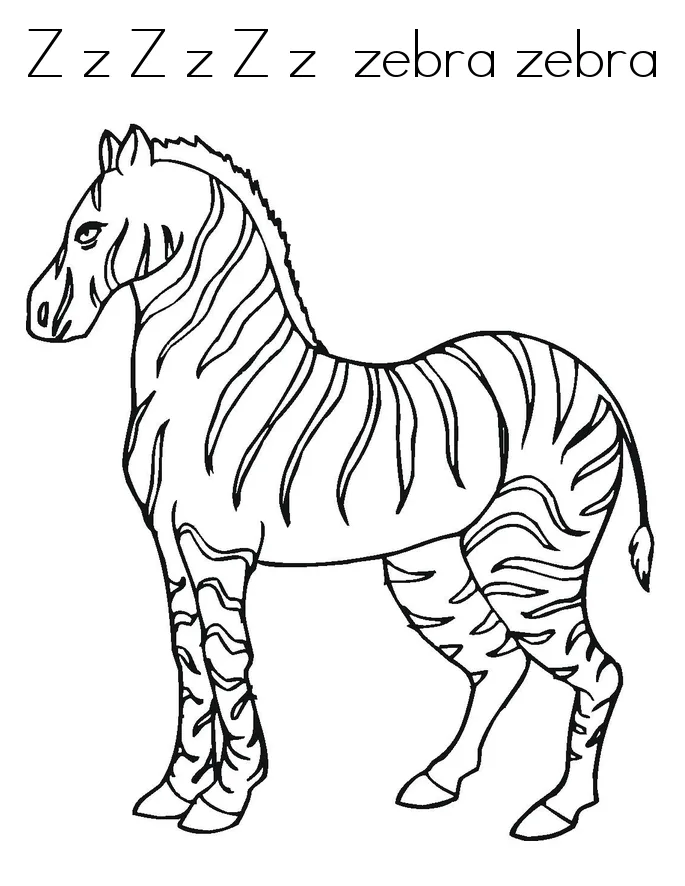 Desenho de Zebras para colorir e imprimir: número 13