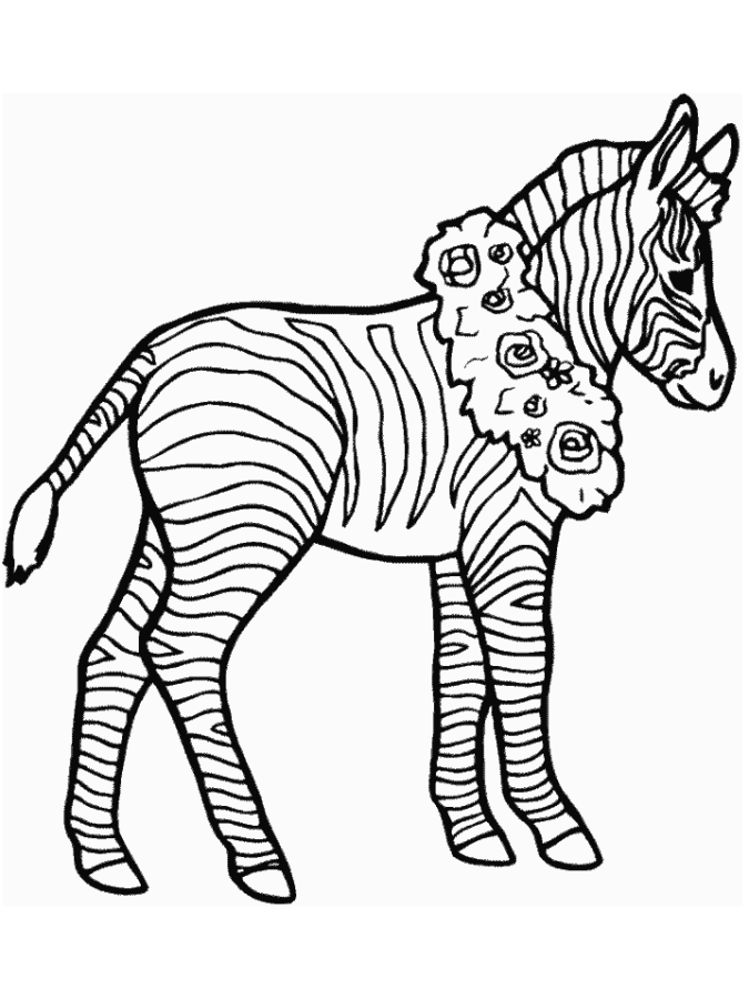 Desenho de Zebras para colorir e imprimir: número 18